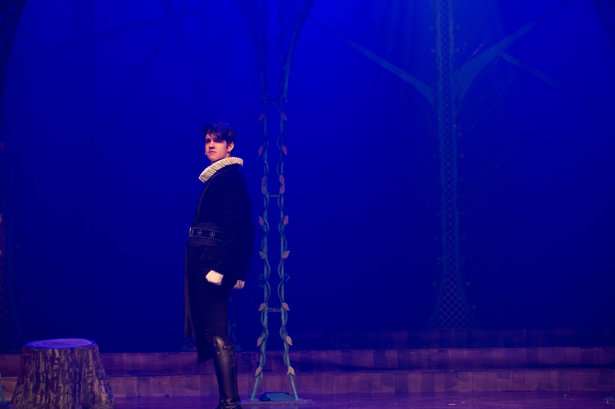 Into the Woods Set Rental pictures - Stagecraft Theatrical