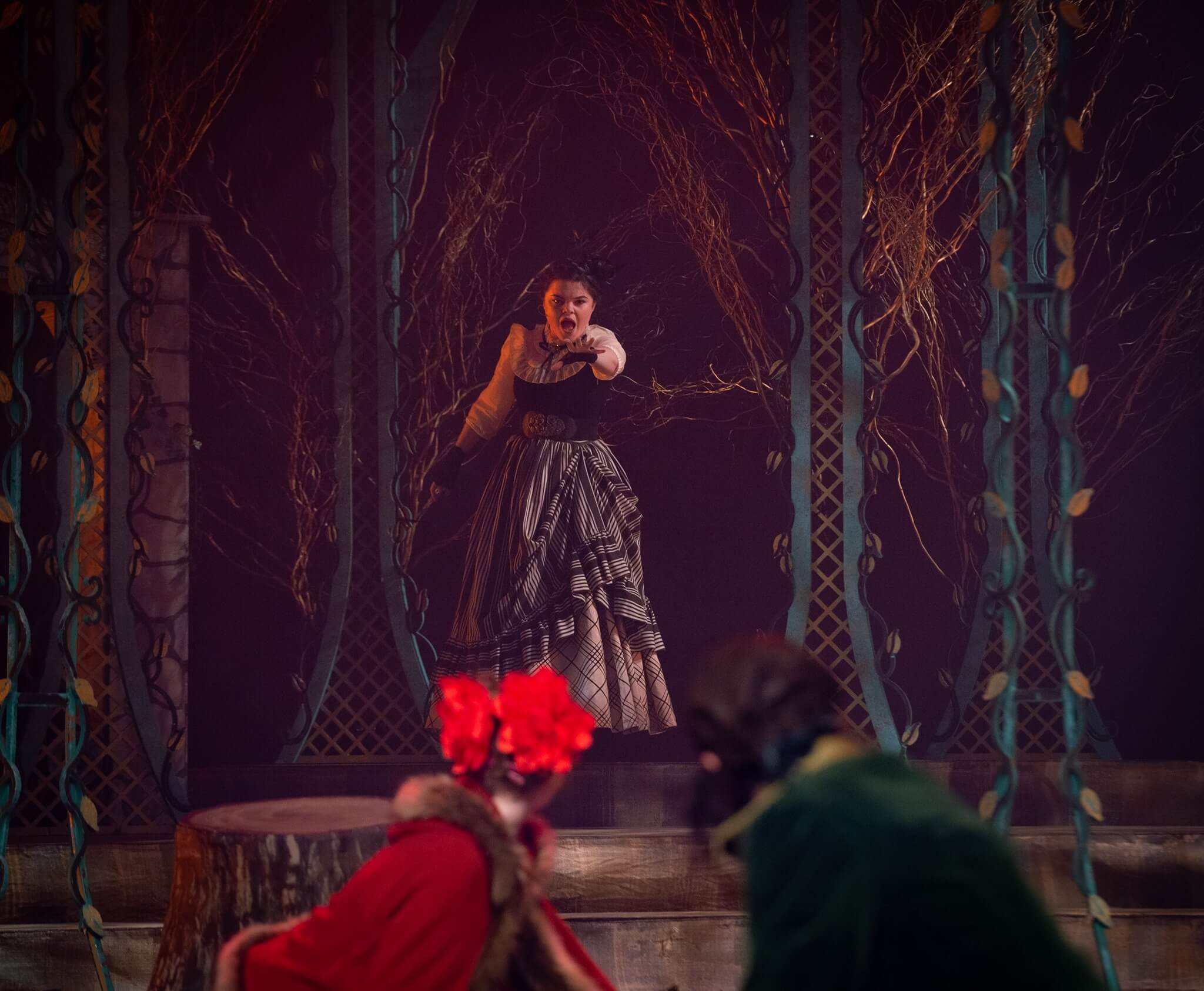 Into the Woods Set Rental pictures - Stagecraft Theatrical