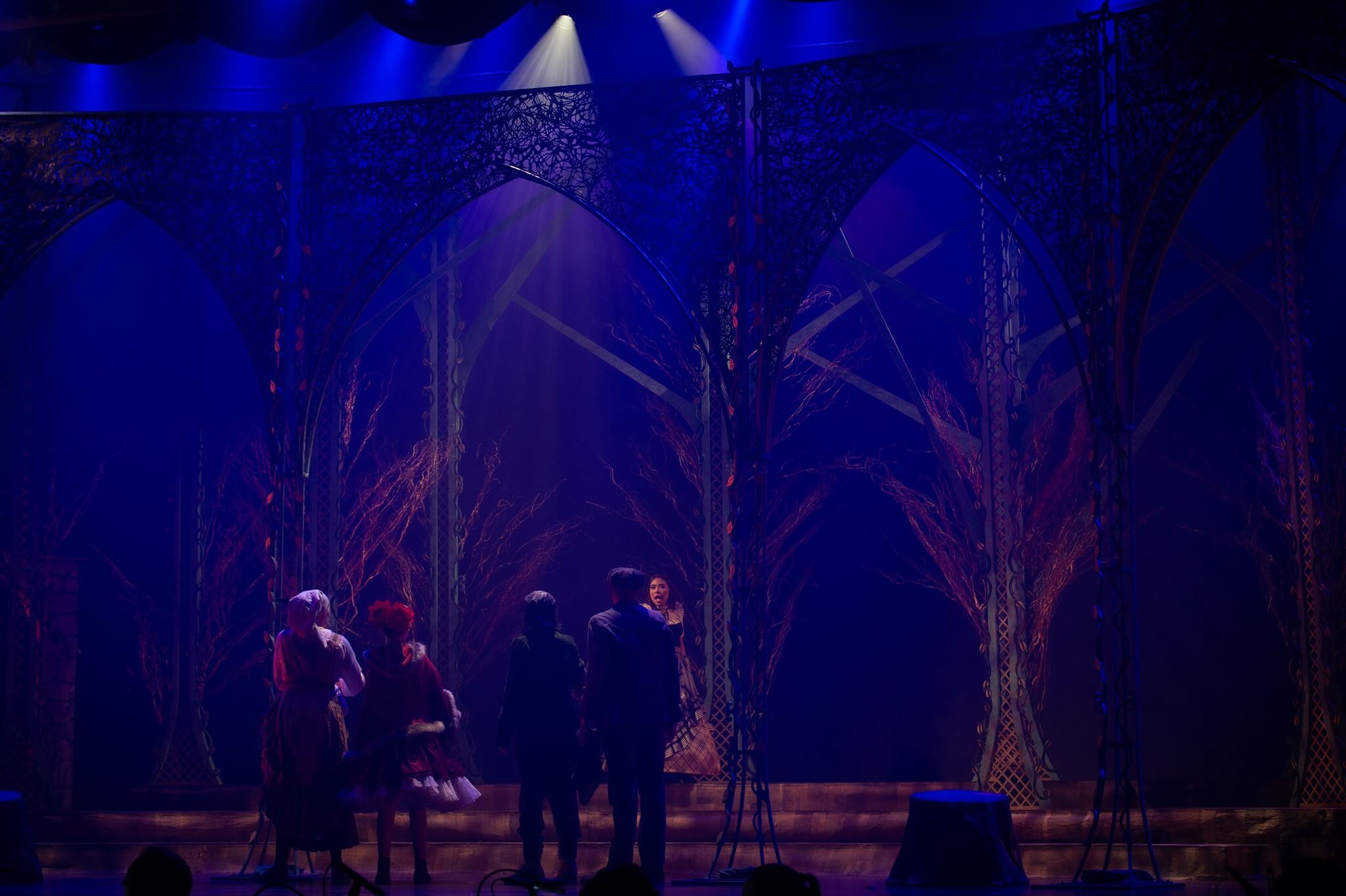 Into the Woods Set Rental pictures - Stagecraft Theatrical