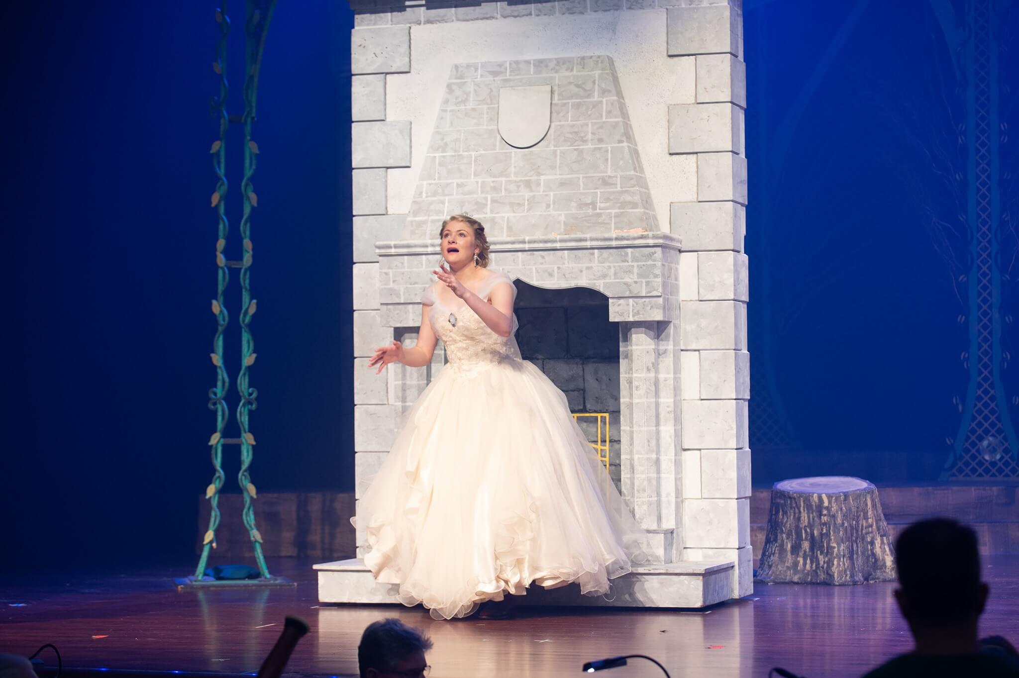 Into the Woods Set Rental pictures - Stagecraft Theatrical